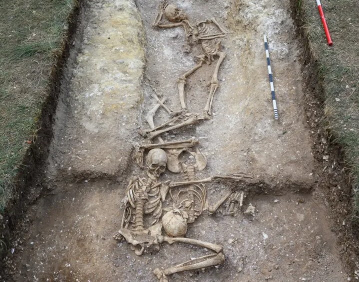 Márcia Jamille🐼🔎 tweet media