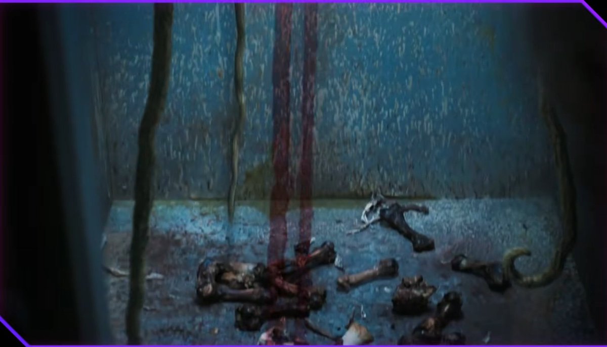 🦖 🦍 MEGA FAN 🐙 tweet media