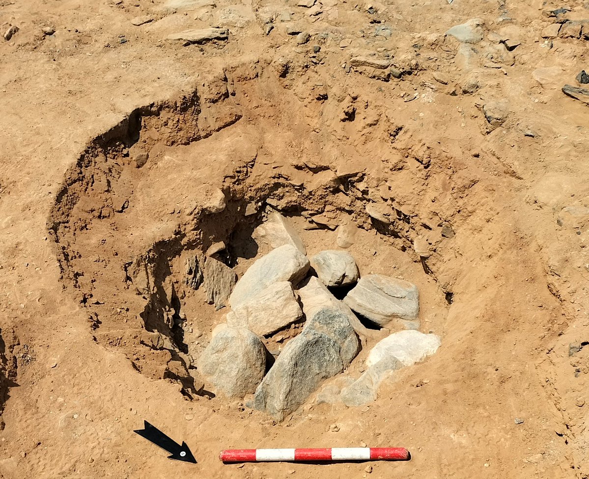 Guerra en la Universidad tweet media