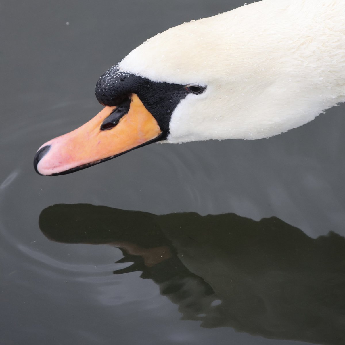 Barbara Atterson tweet media