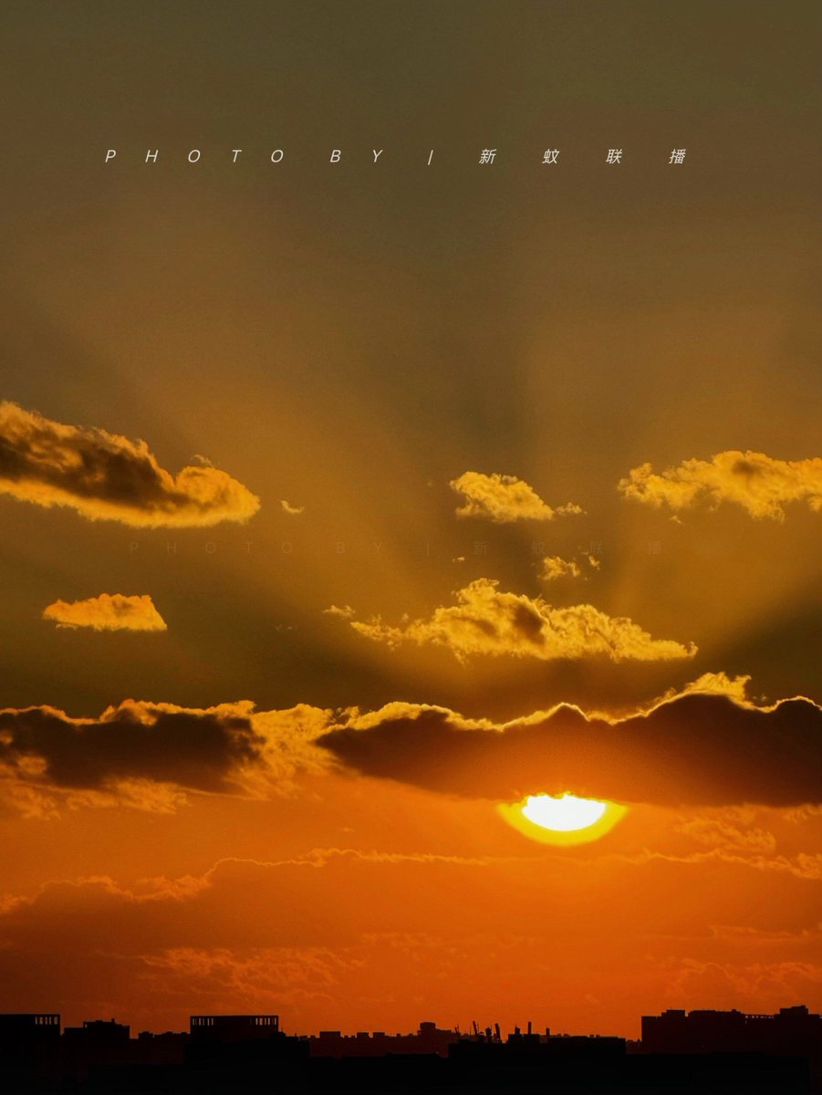 isabelle robertson tweet media