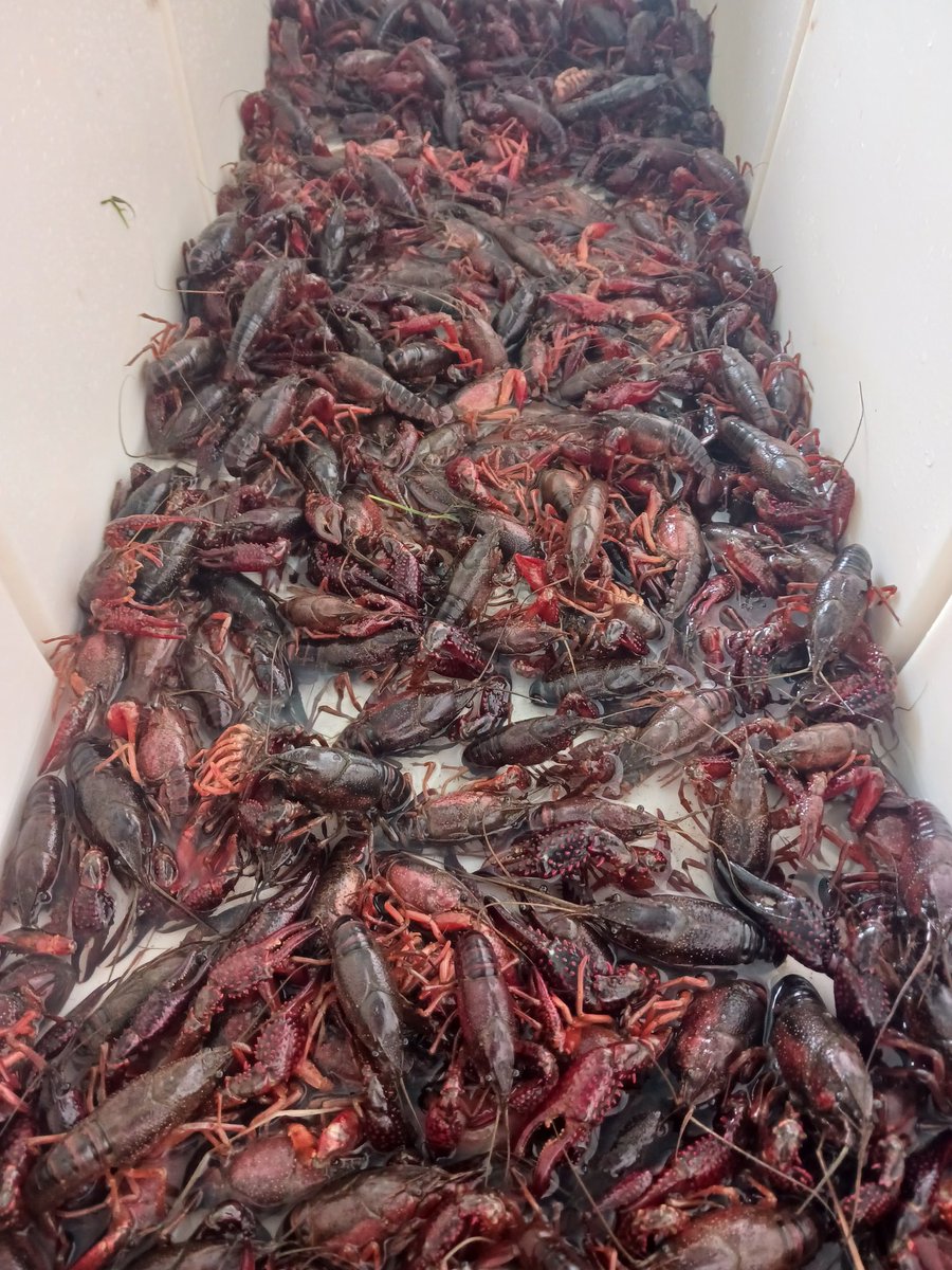 Disruption tweet media