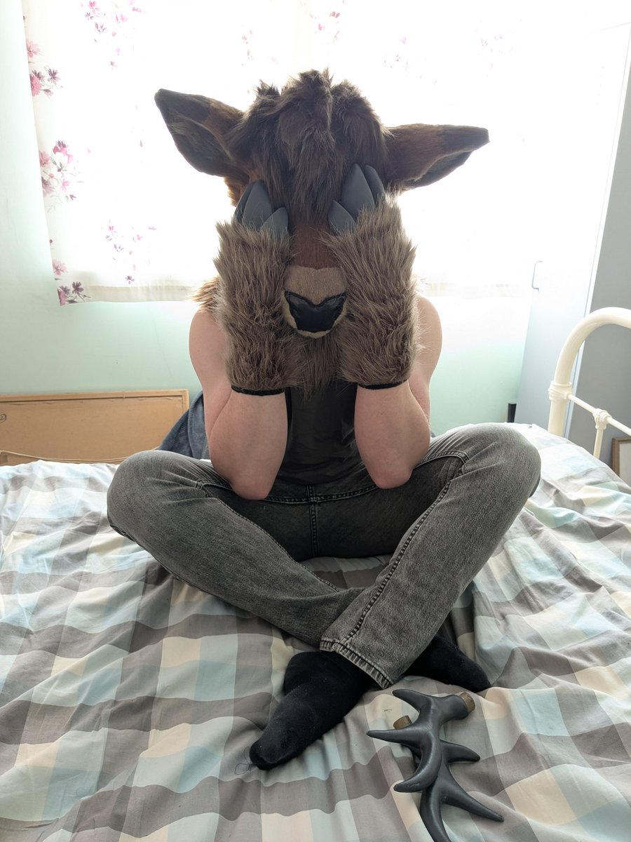 jay 🦌 🔜 CFz tweet media