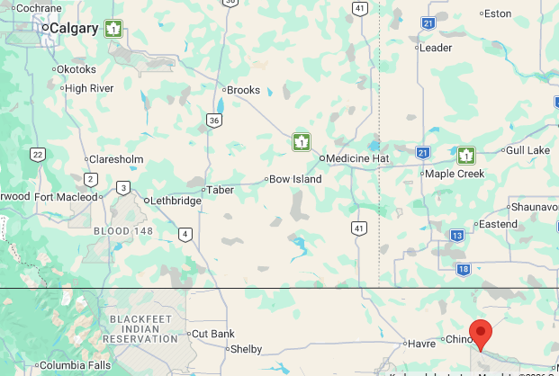 Shareaware Canada tweet media