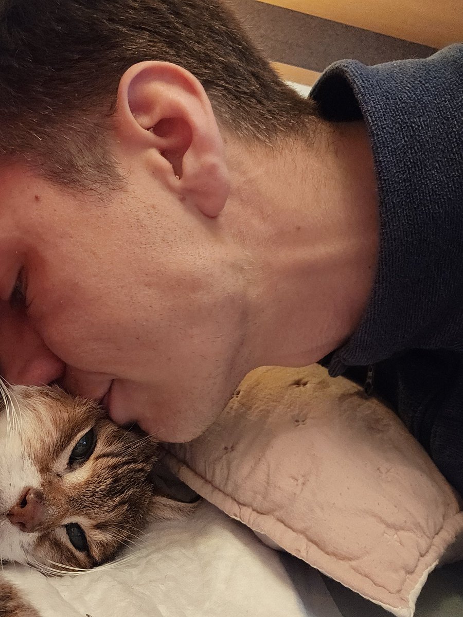 Tera 🇷🇴 tweet media