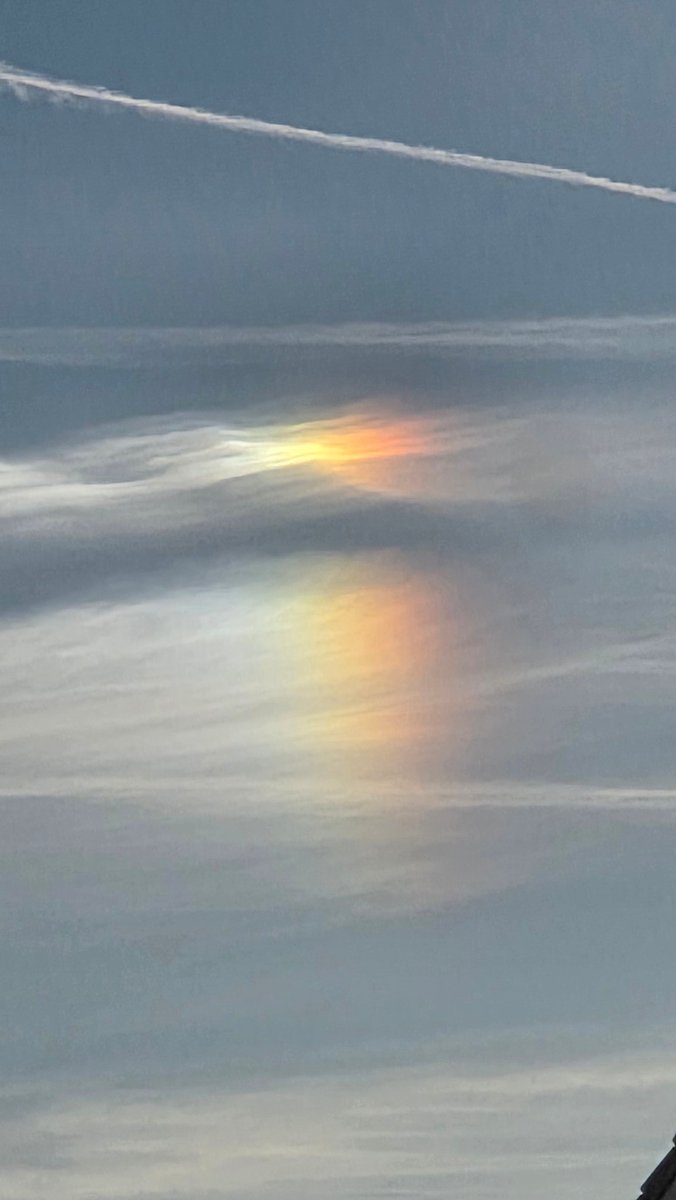 Cynthia van de Peppel 🖤💙🖤 tweet media