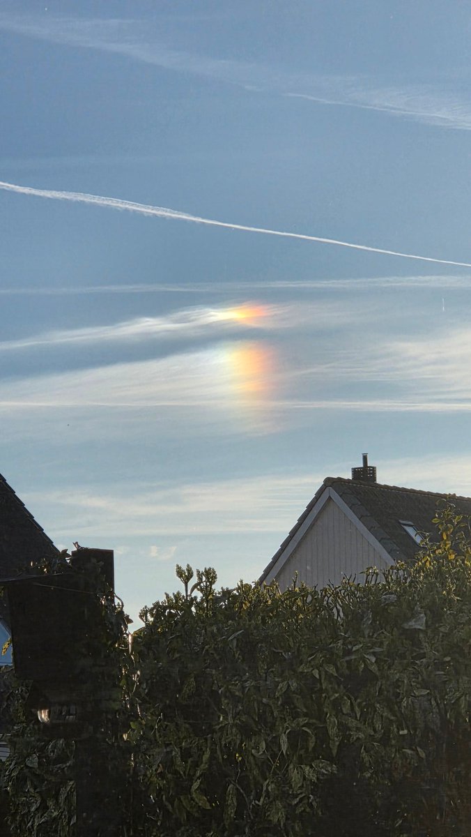 Cynthia van de Peppel 🖤💙🖤 tweet media