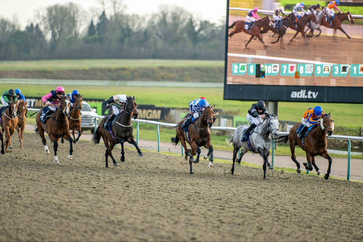 Lingfield Park tweet media