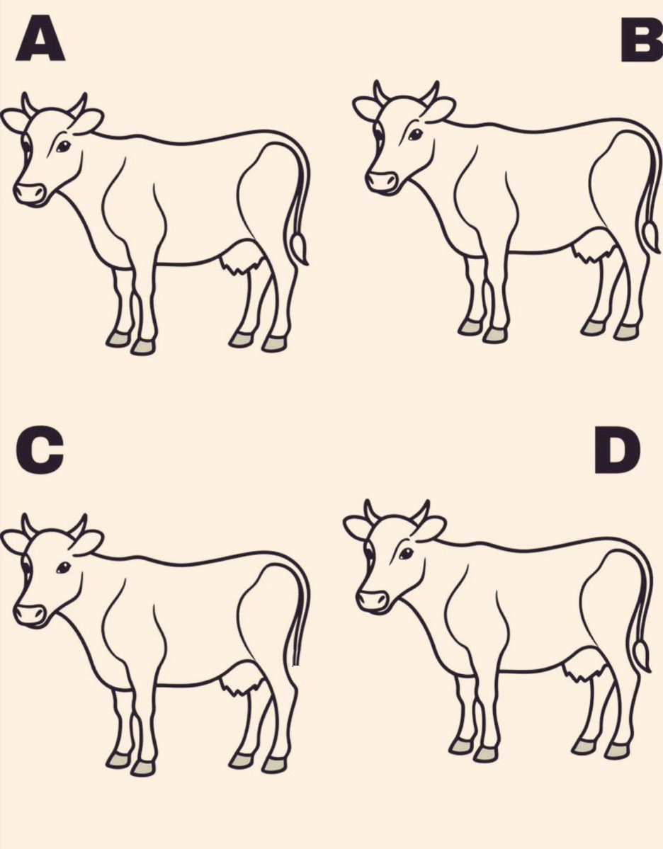 (FAN) Elon musk fanatic tweet media