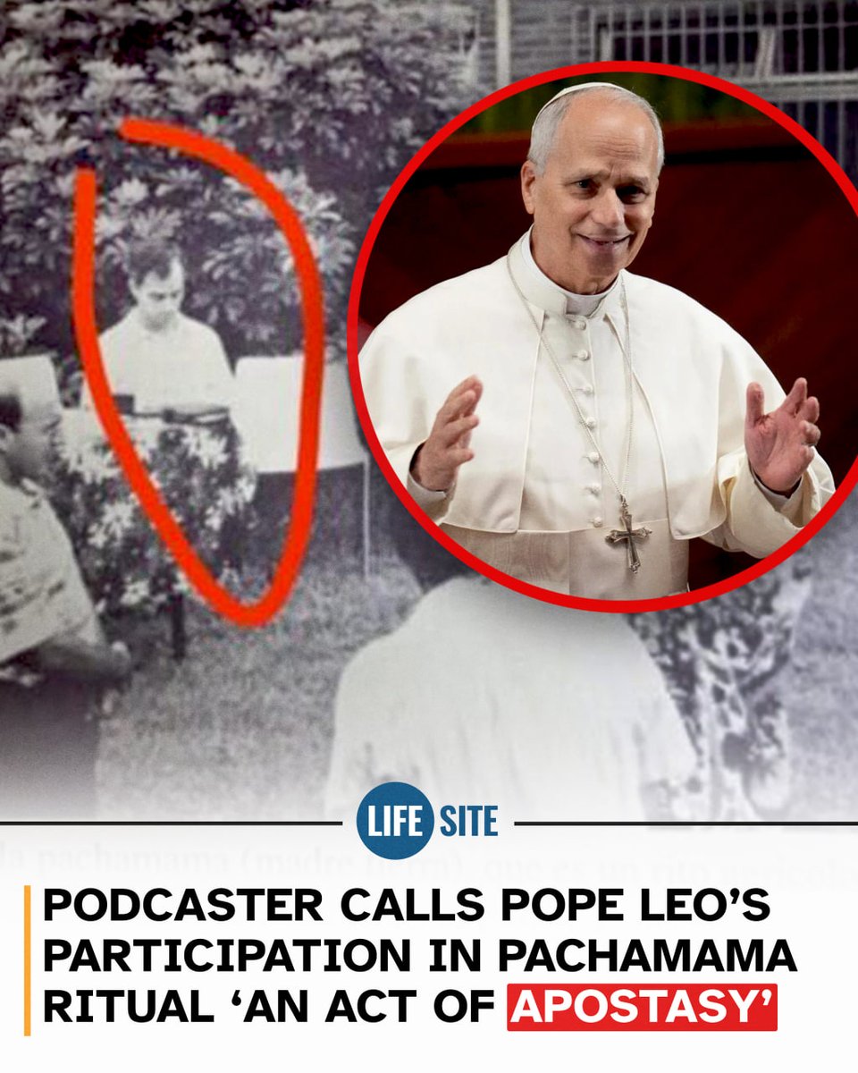 LifeSiteNews tweet media