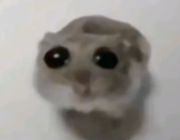 timely hna tweet media