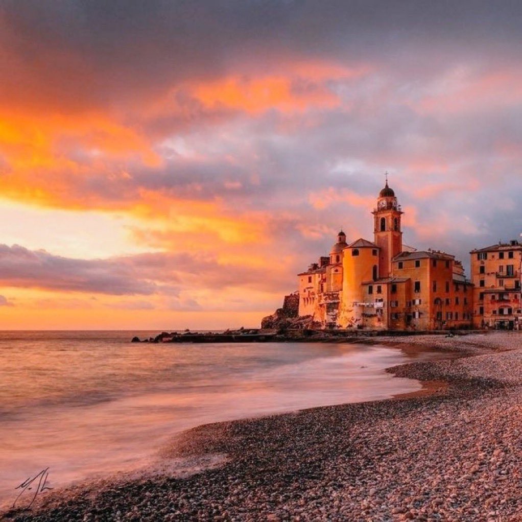 Amico fragile tweet media