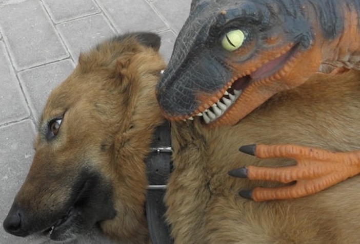 Queen Juliet tweet media