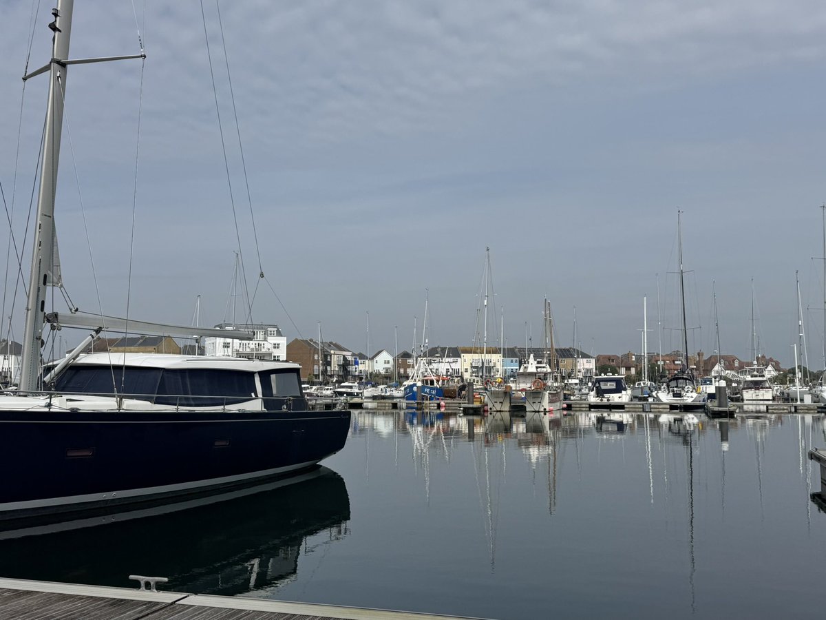 Susy 🇺🇦 💙 #FBPE #FBPA #FBPPR tweet media