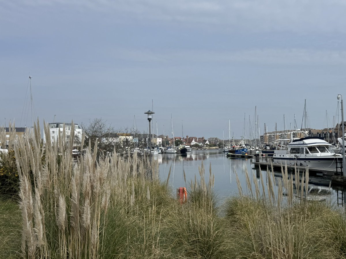 Susy 🇺🇦 💙 #FBPE #FBPA #FBPPR tweet media