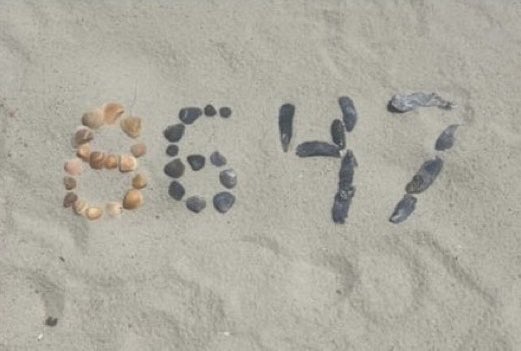 LisaDawnQ17 🌅 tweet media