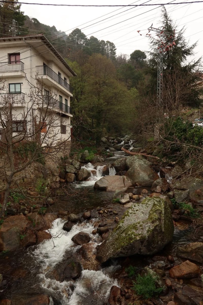 Paco San José. tweet media