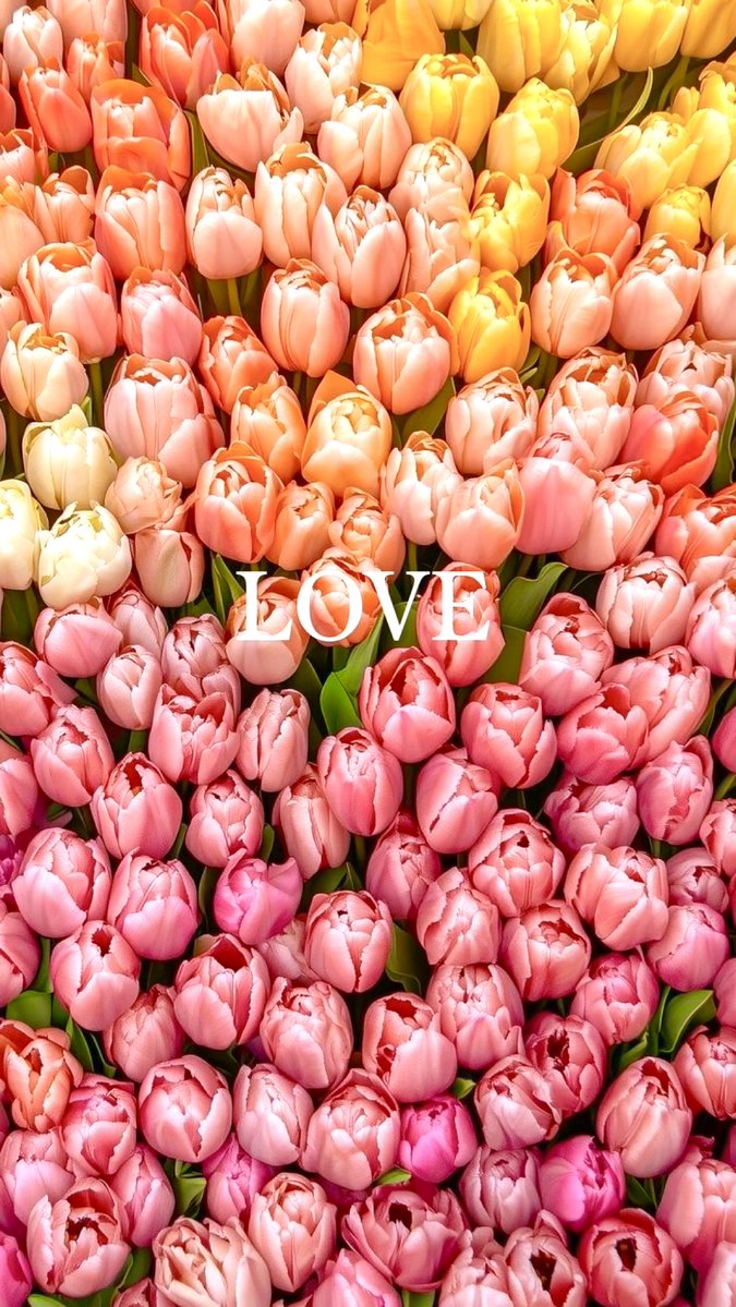 Kim Simons tweet media