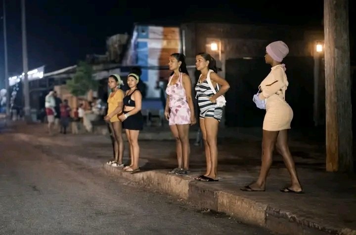 Raymond Dart(Mr Dart) tweet media