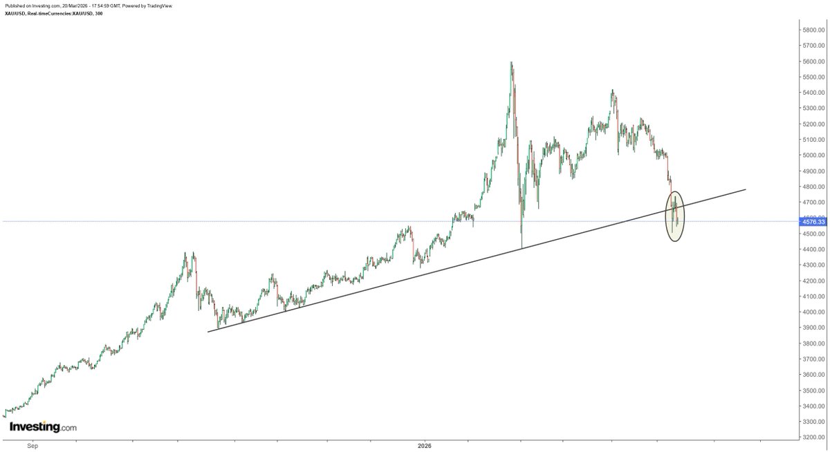 Rashad Hajiyev tweet media