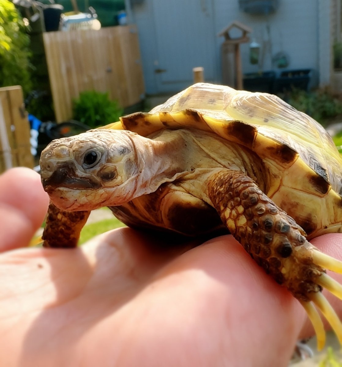 ⋆.𐙚 ̊ Finnya ᢉ𐭩 ⚓︎ tweet media