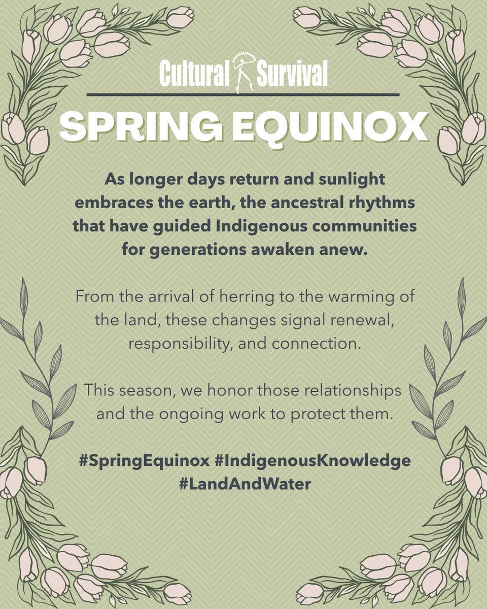 Cultural Survival tweet media