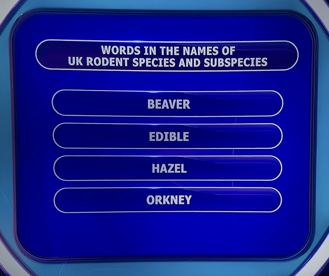 Mark Gillies tweet media