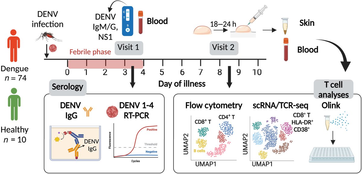 Science Advances tweet media