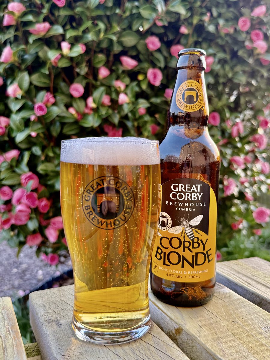 Mike Little tweet media