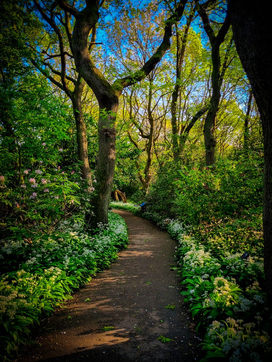 Hannah // Get Lost in Yorkshire tweet media
