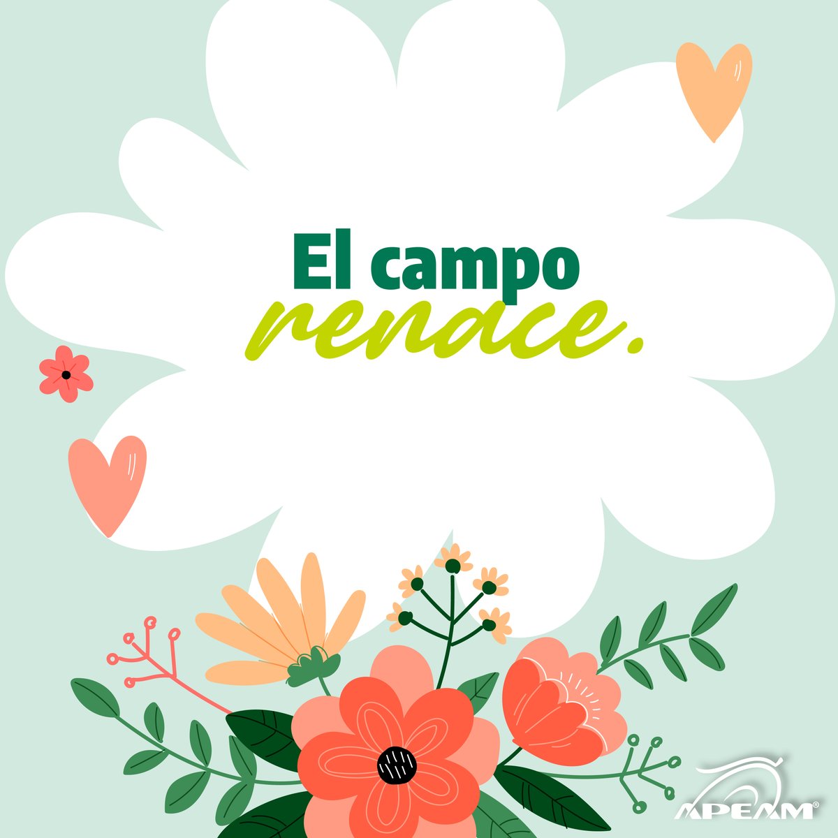 APEAM, A.C. tweet media