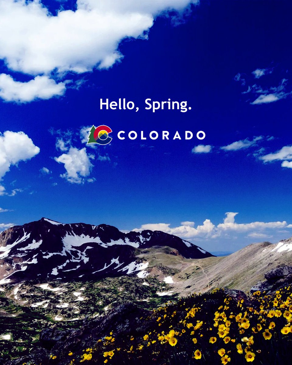 Governor Jared Polis tweet media