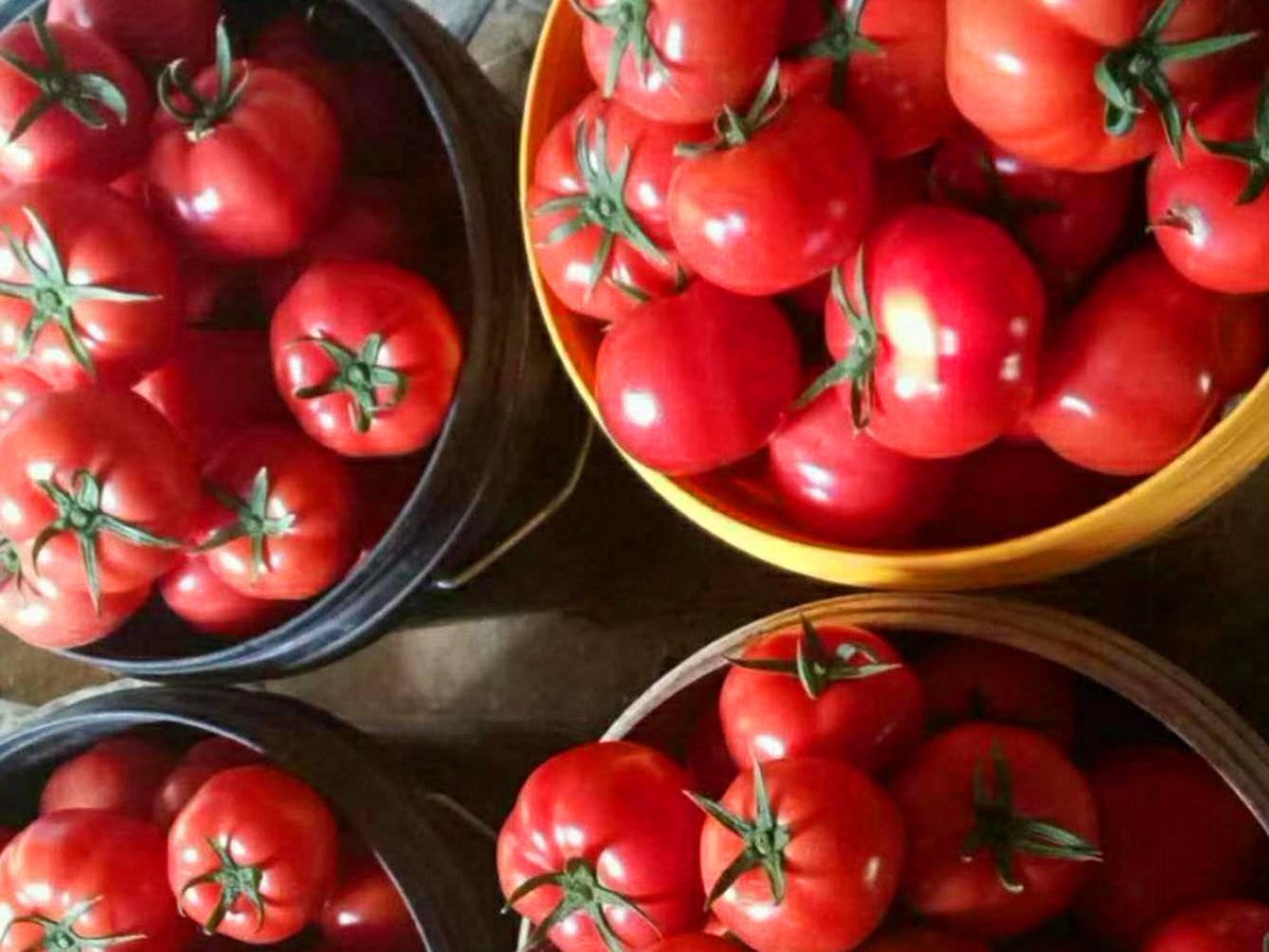 Benjamin A. Carraway tweet media