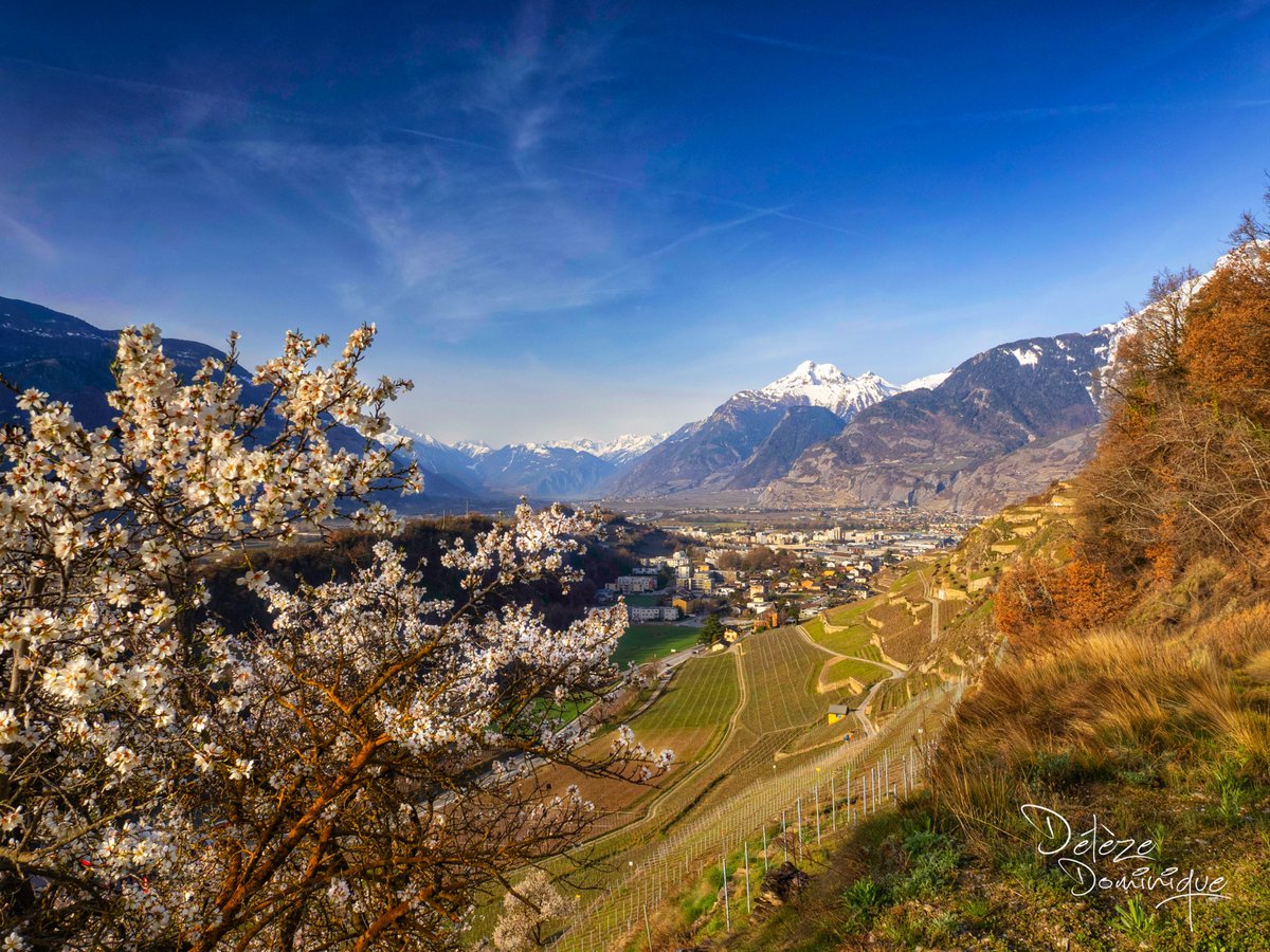 Délèze Dominique tweet media