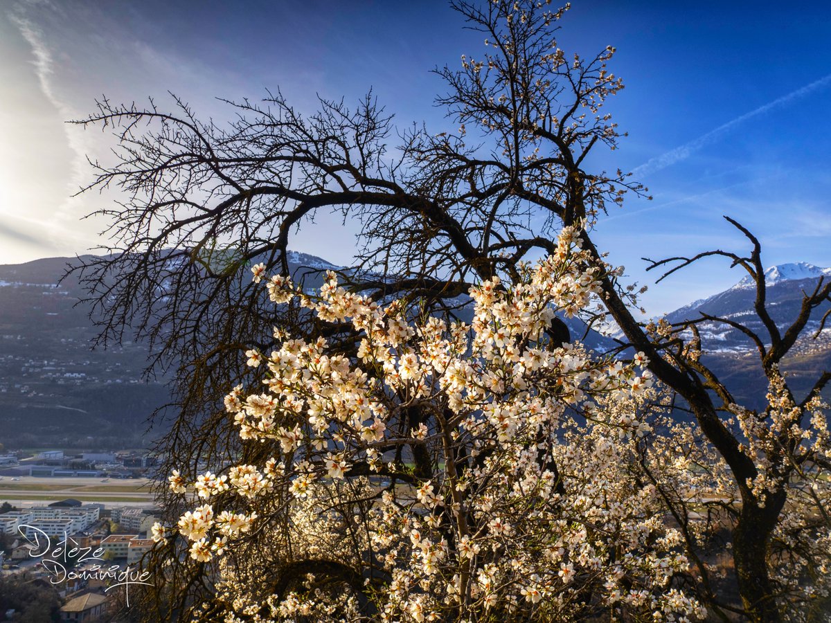 Délèze Dominique tweet media