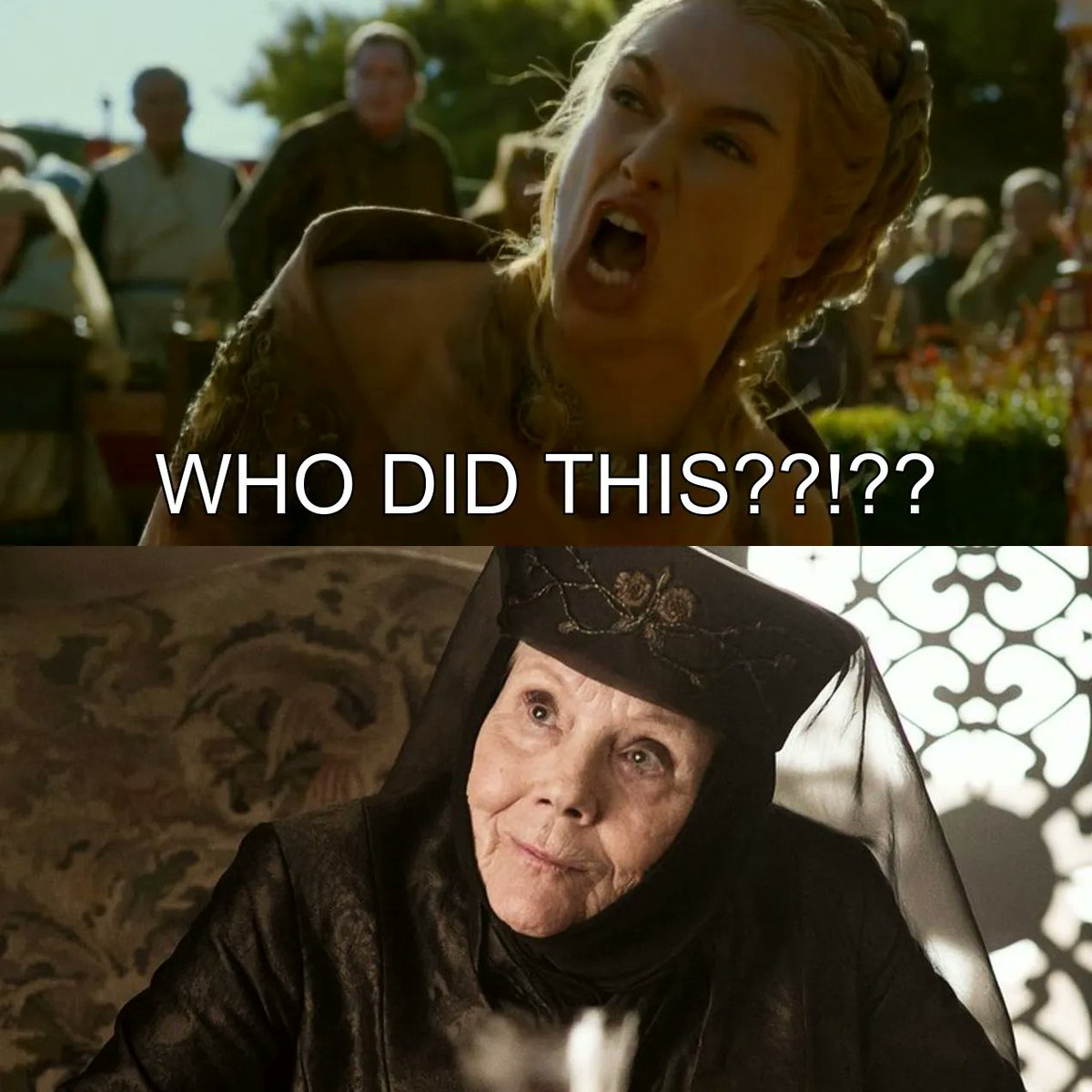 FriVOLous Disaster 🍊🏈⚾🏀 tweet media