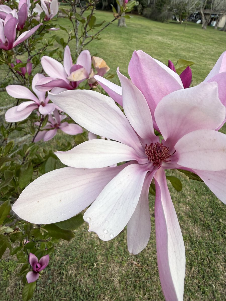 John C. Knapp tweet media