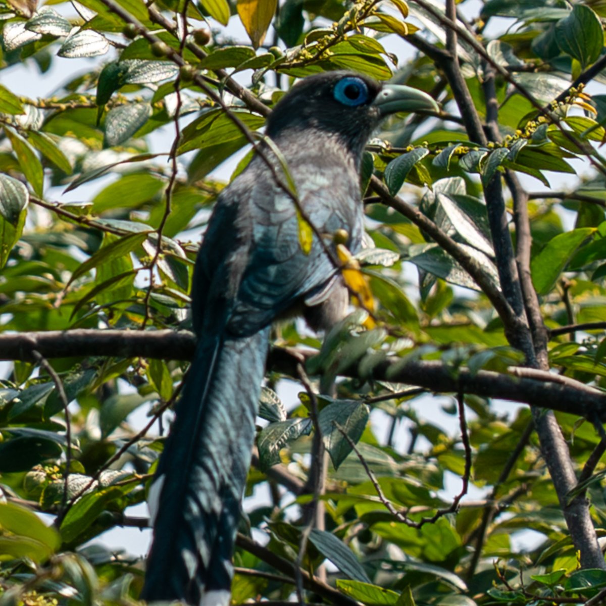 Alan Crockard tweet media