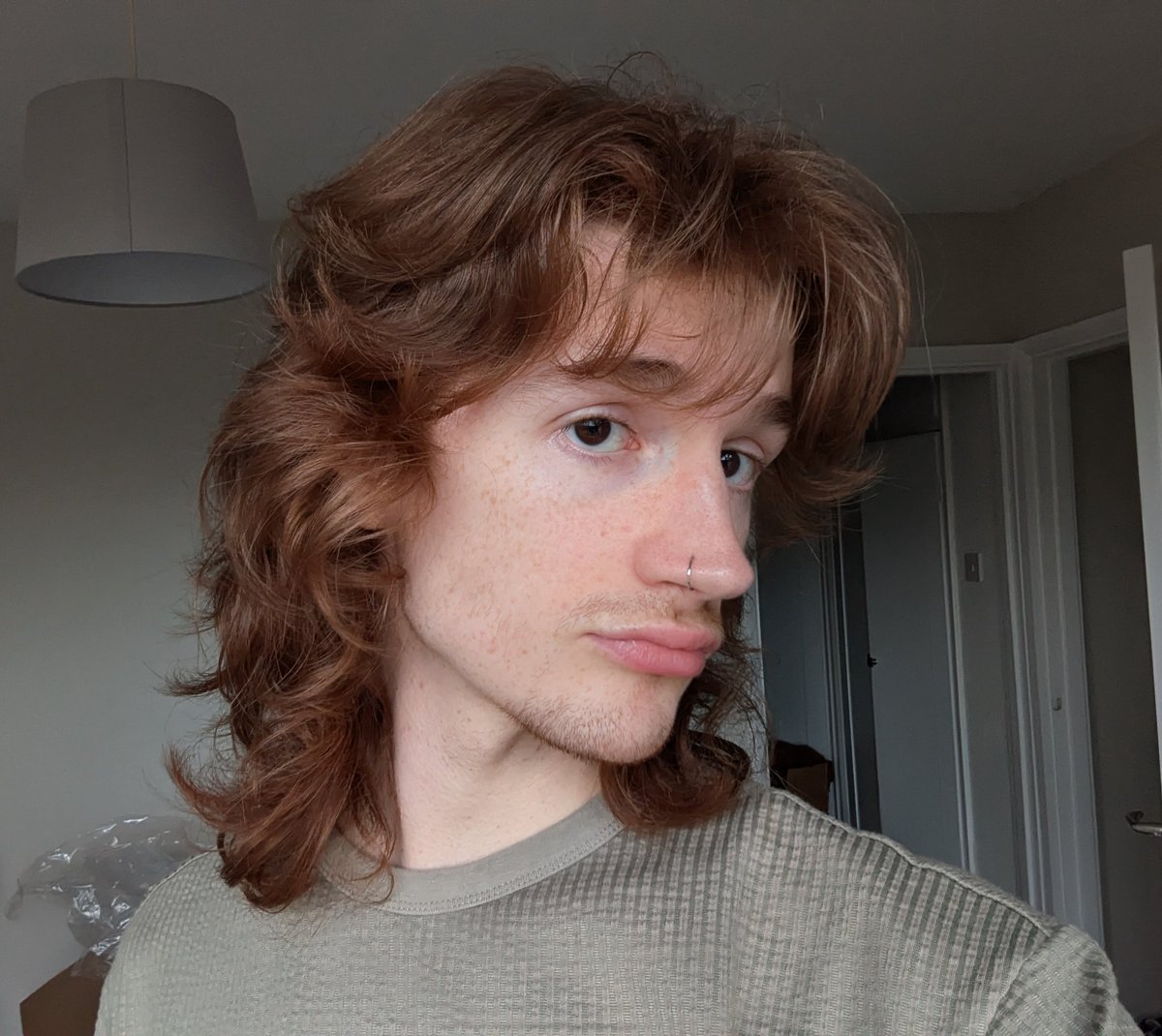 davood / carol / idrgaf tweet media