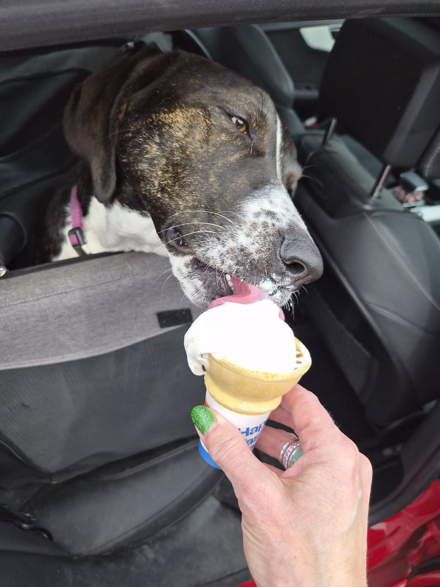 Winnie & Grover T. Dog 🐶❤️💫🌈 tweet media