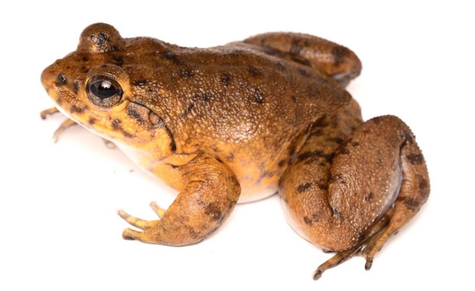 Money For Madagascar tweet media