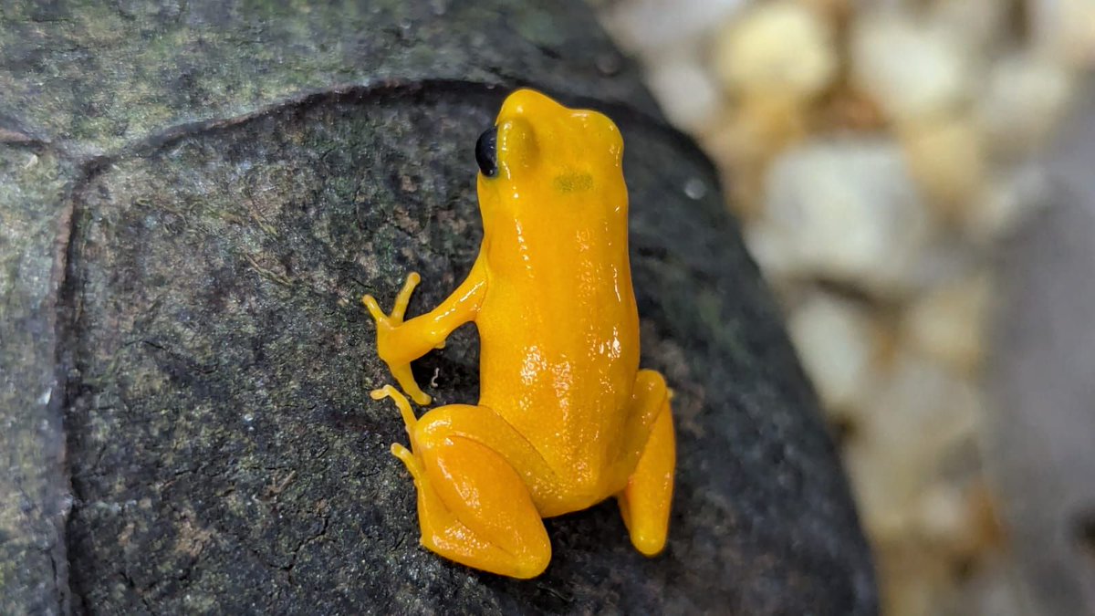 Money For Madagascar tweet media