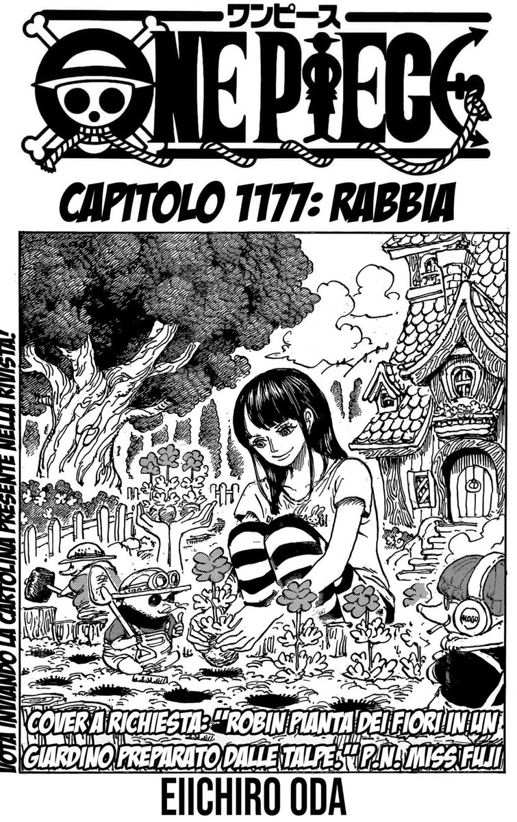 a n n 🐈⬛ tweet media