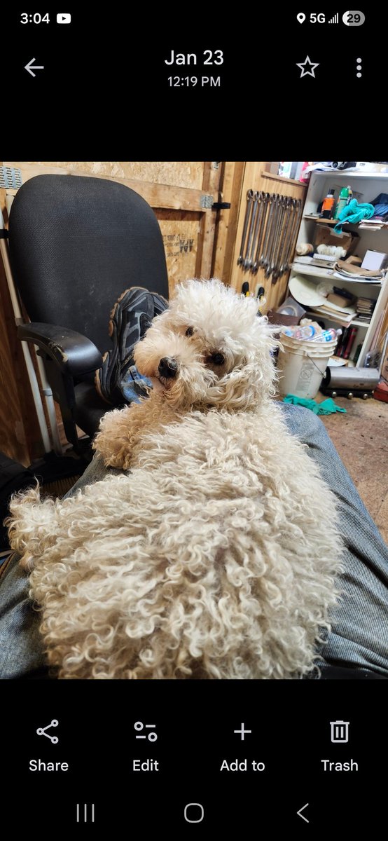 Textranquilo tweet media