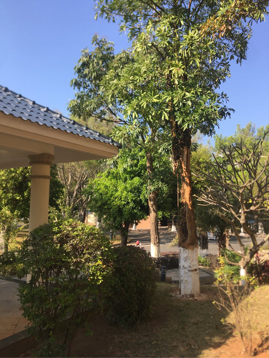 Edgar Alfonso tweet media