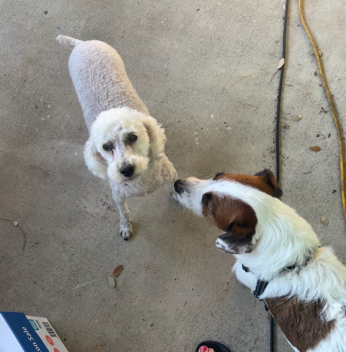 Textranquilo tweet media