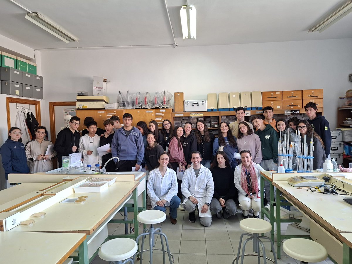 Micromón València. Tiny Earth, SWI, Micromundo tweet media