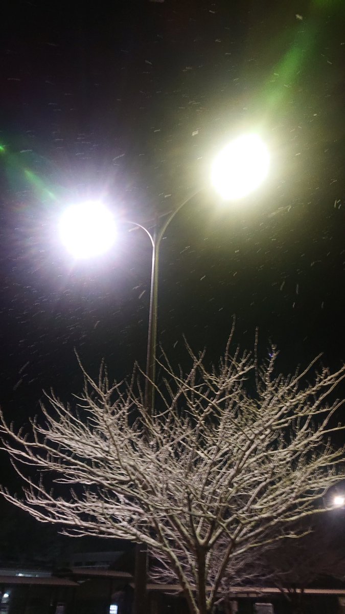 °とっと° tweet media