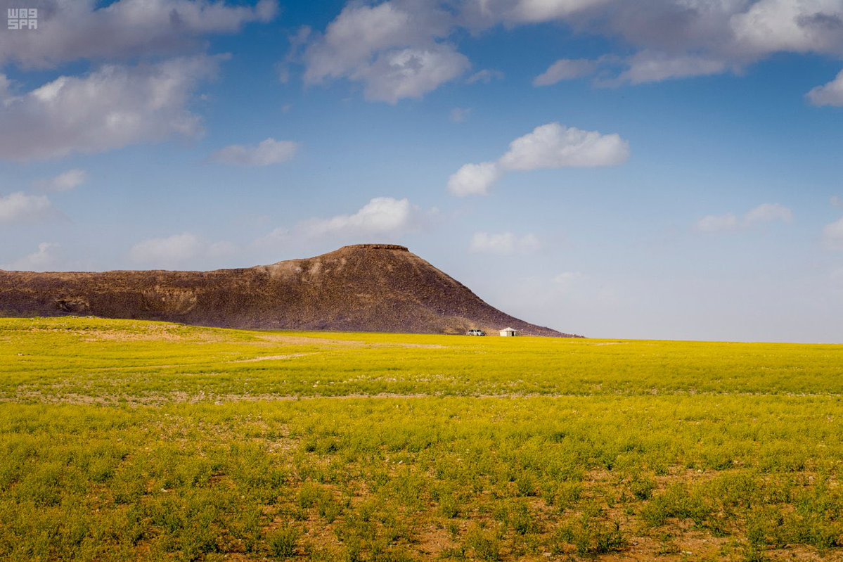 AstroFaisal tweet media