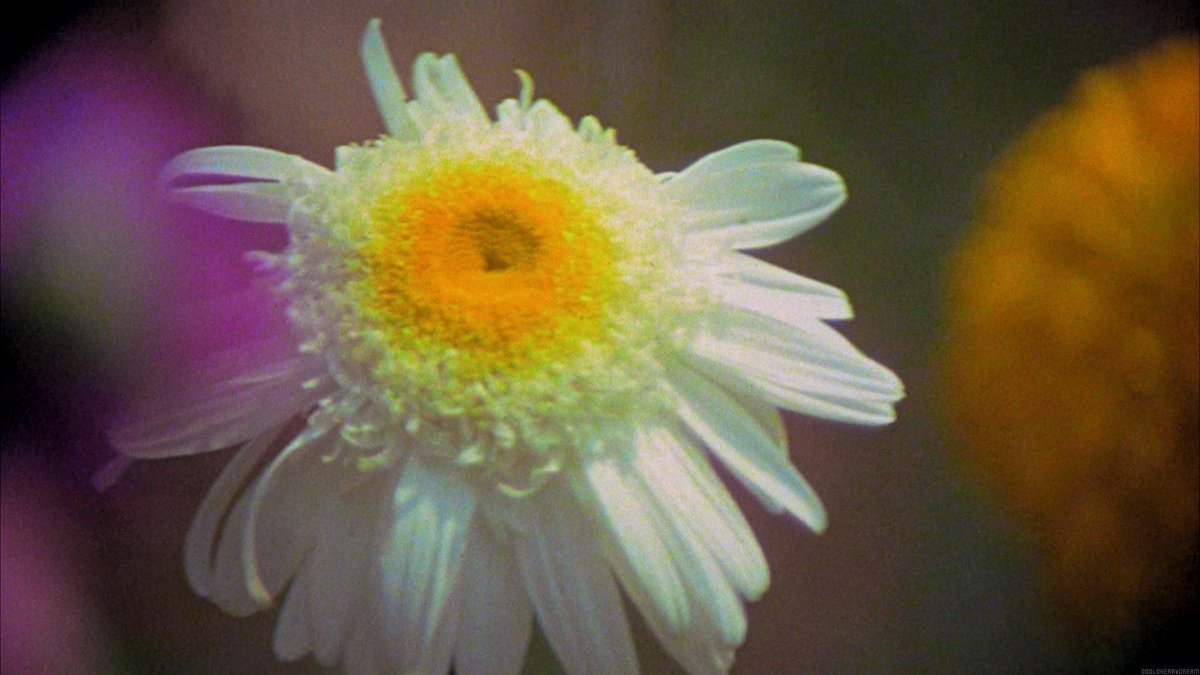 annie🌷🫧 tweet media